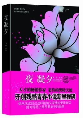 夜凝夕